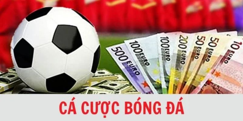 Cá độ bóng đá cho người mới