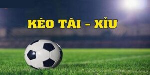 Chiến thuật chơi tài xỉu chuyên sâu