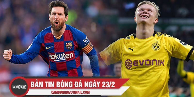 Tầm quan trọng của tin tức bóng đá